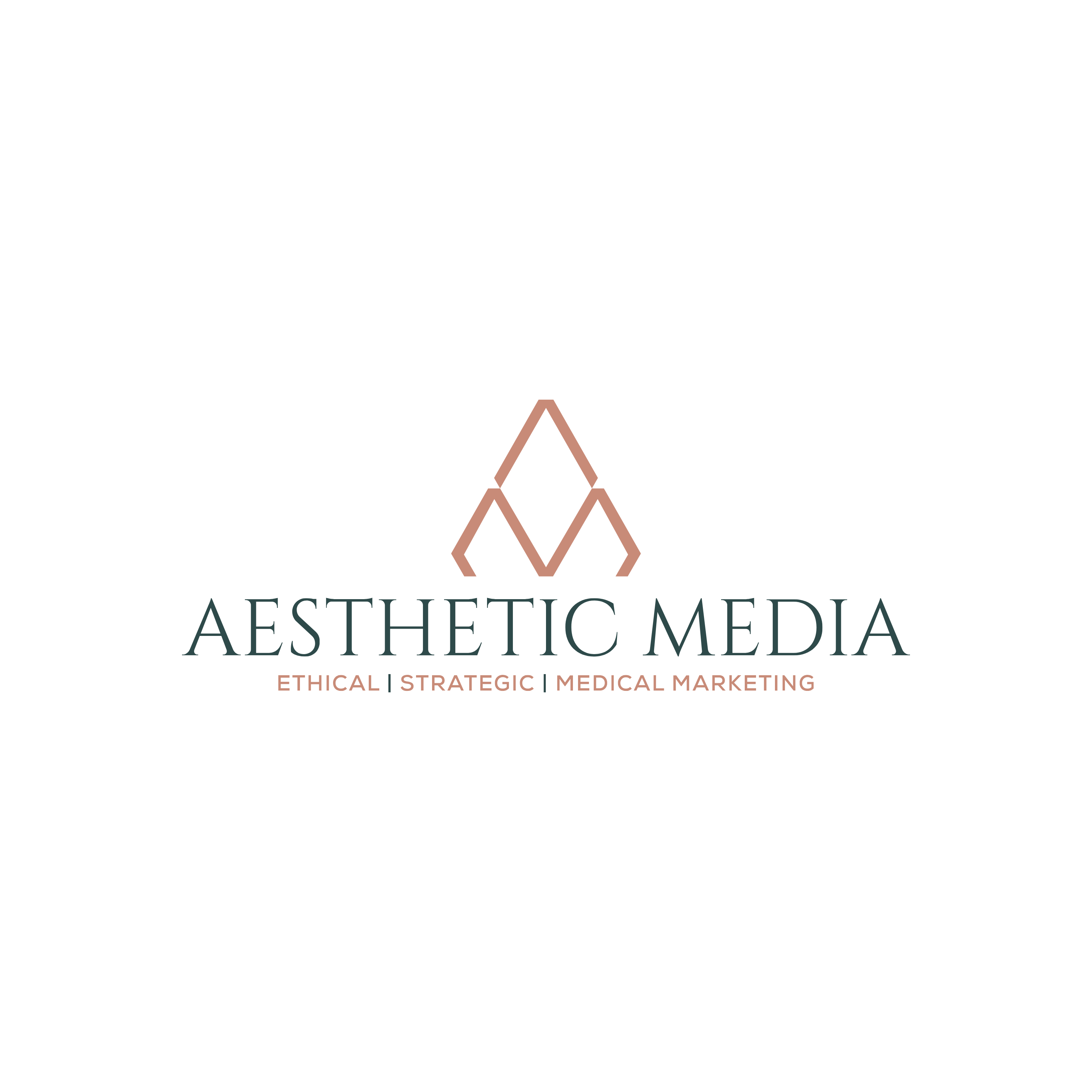 Aesthetic Media logo